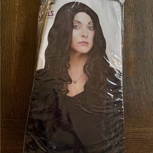 Elegant Black Women's Wig